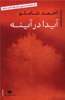 آیدا در آینه