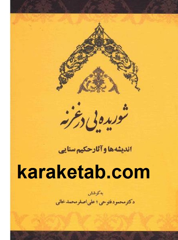 شوریده یی در غزنه