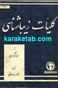 كلیات زیباشناسی