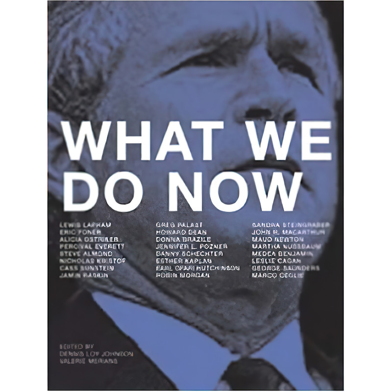 کتاب What We Do Now اثر Dennis Loy Johnson and Valerie Merians انتشارات Melville House