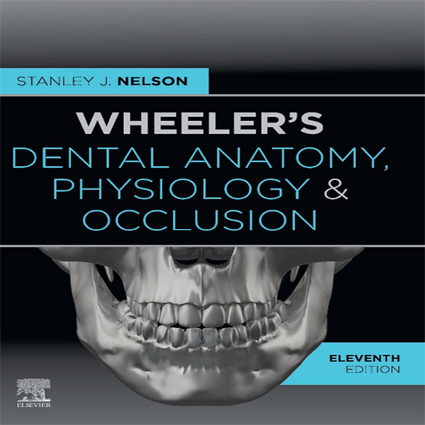 کتاب Wheelers Dental Anatomy,Physiology and Occlusion اثر Stanley Nelson انتشارات الزویر
