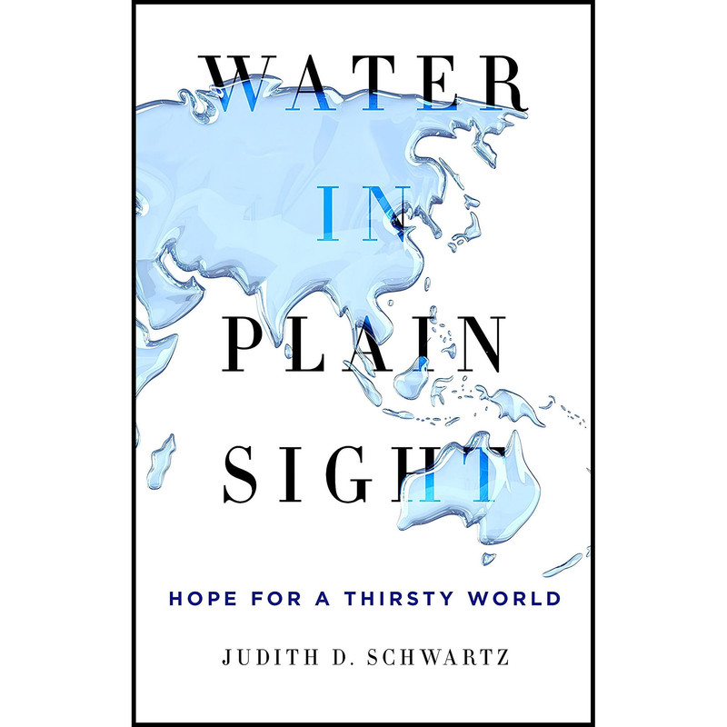 کتاب Water in Plain Sight اثر Judith D. Schwartz انتشارات St. Martins Press