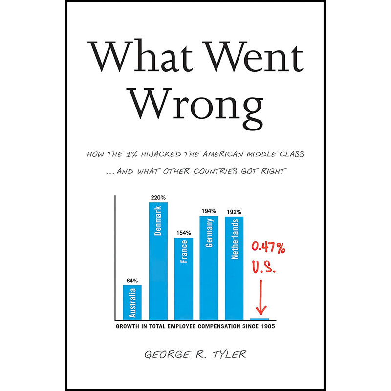 کتاب What Went Wrong اثر George R. Tyler انتشارات BenBella Books