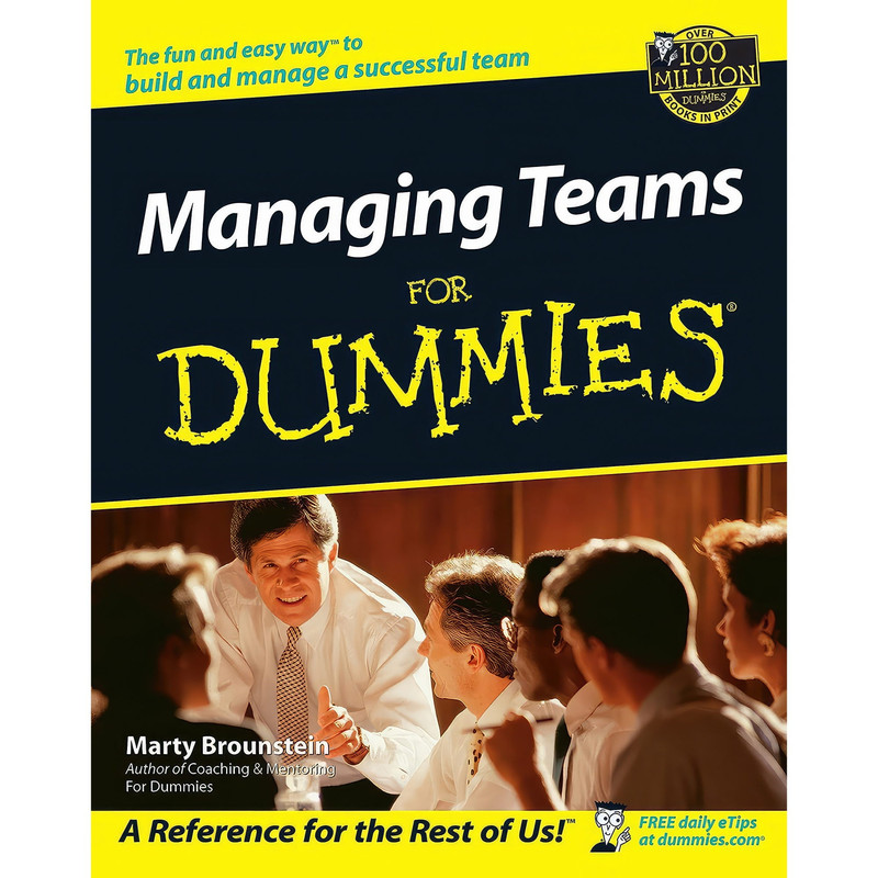 کتاب Managing Teams For Dummies اثر Marty Brounstein انتشارات For Dummies