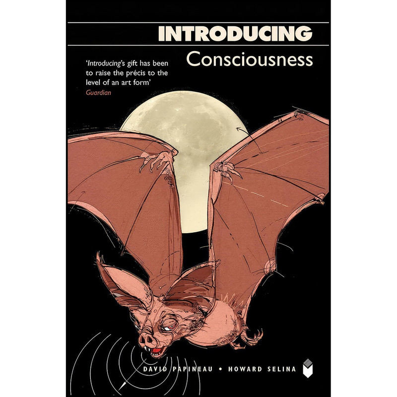 کتاب Introducing Consciousness اثر David Papineau انتشارات Icon,Totem Books