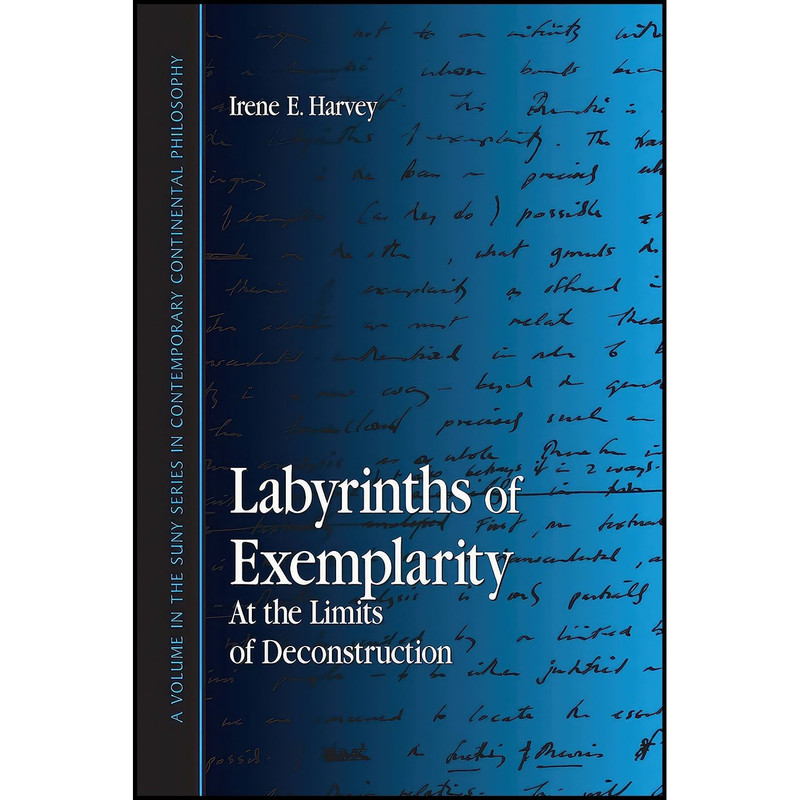 کتاب Labyrinths of Exemplarity اثر Irene E. Harvey انتشارات State University of New York Press