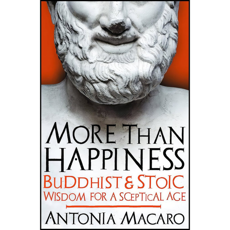 کتاب More Than Happiness اثر Antonia Macaro انتشارات Icon Books