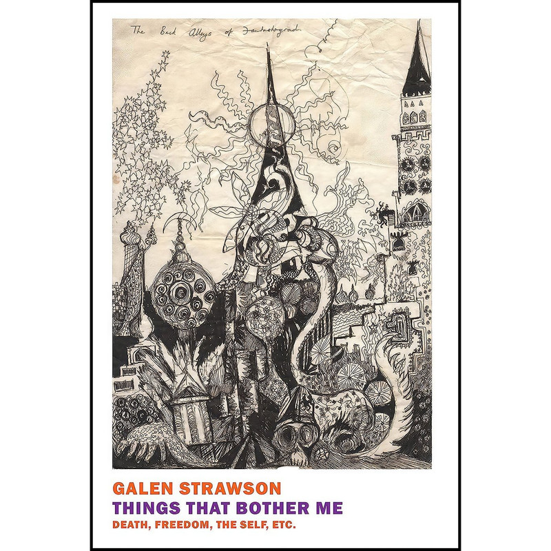 کتاب Things That Bother Me اثر Galen Strawson انتشارات New York Review Books