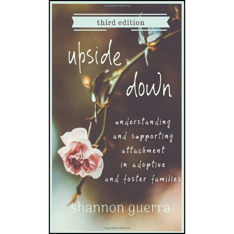 کتاب Upside Down اثر Shannon Guerra انتشارات Copperlight Wood