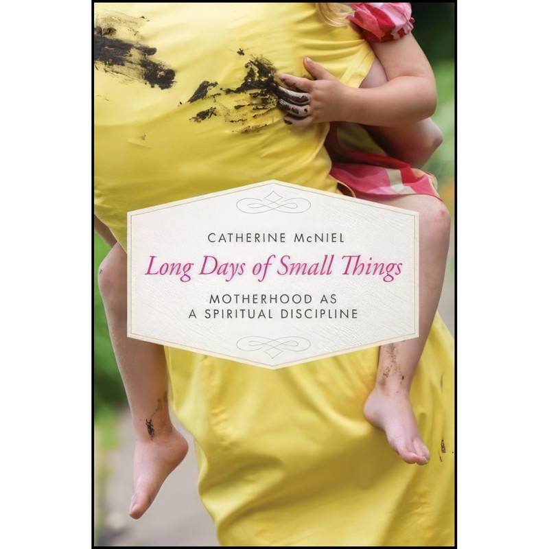 کتاب Long Days of Small Things اثر Catherine McNiel انتشارات NavPress