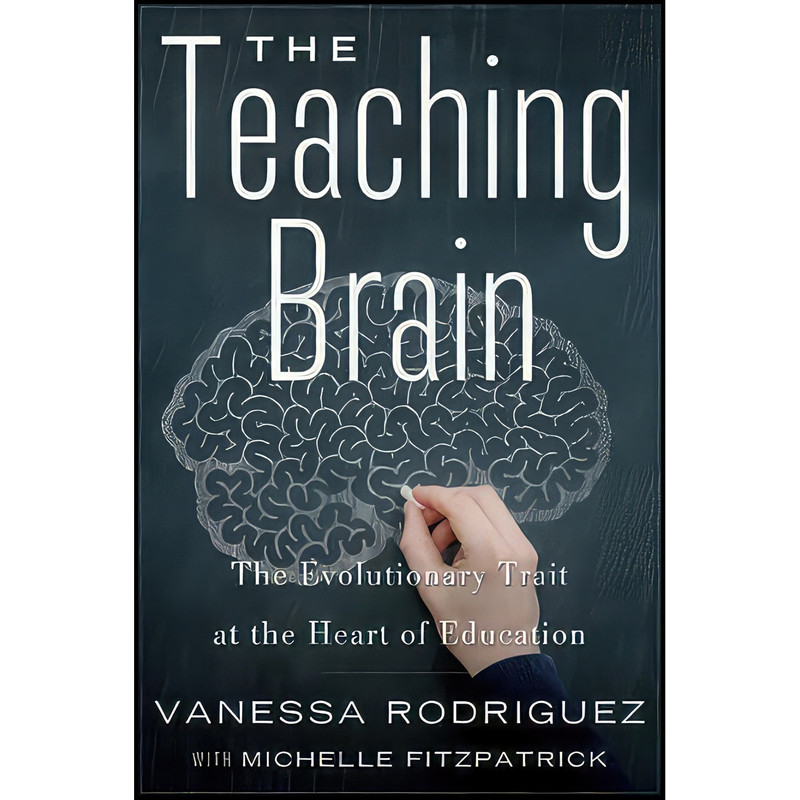 کتاب The Teaching Brain اثر جمعي از نويسندگان انتشارات The New Press