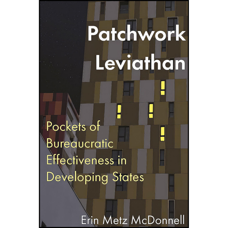 کتاب Patchwork Leviathan اثر Erin Metz McDonnell انتشارات Princeton University Press