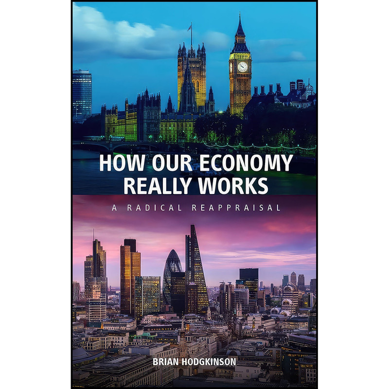 کتاب How Our Economy Really Works اثر Brian Hodgkinson انتشارات Shepheard-Walwyn