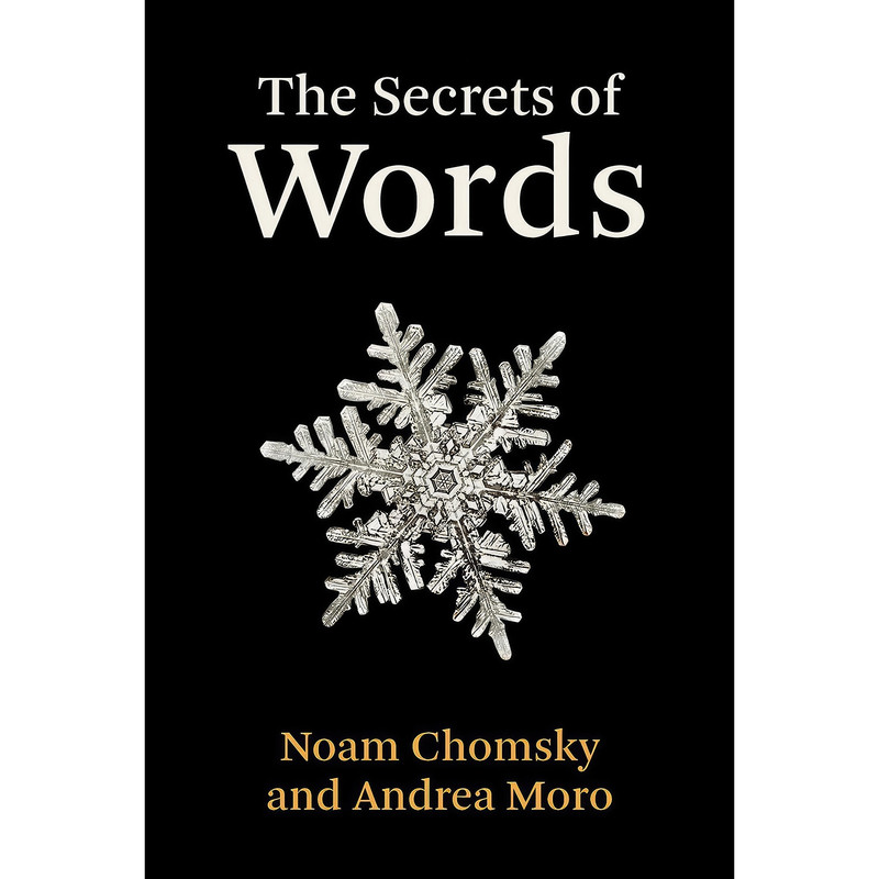 کتاب The Secrets of Words اثر Noam Chomsky and Andrea Moro انتشارات The MIT Press