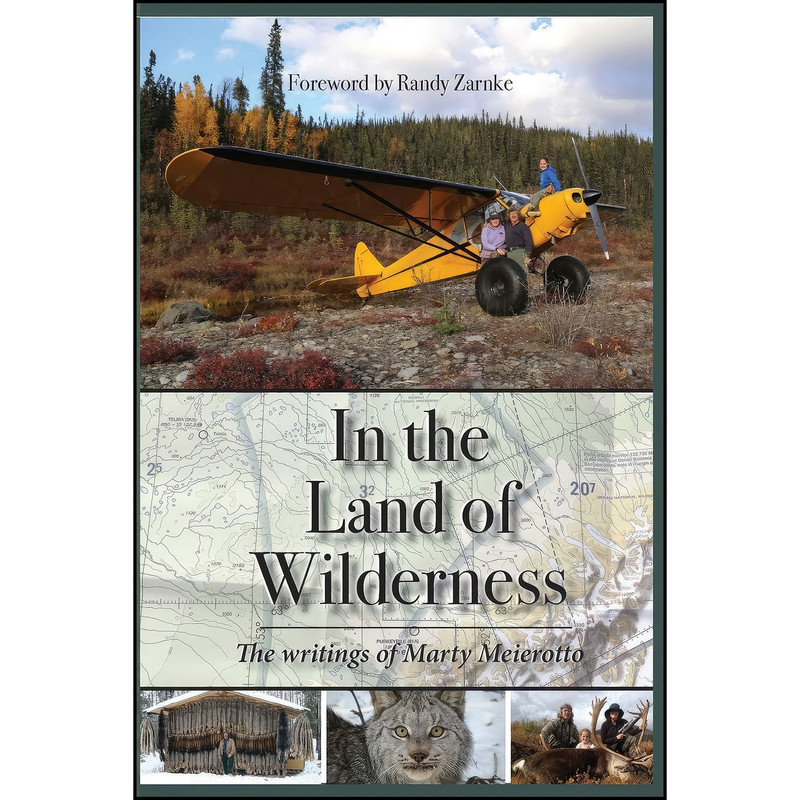 کتاب In the Land of Wilderness اثر Marty Meierotto انتشارات Publication Consultants