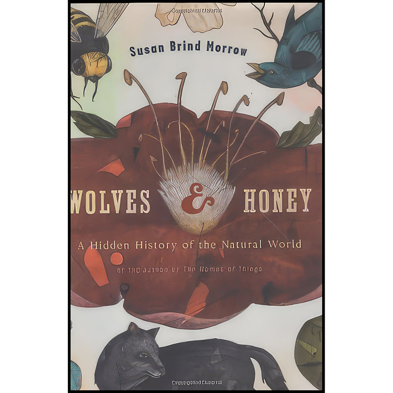 کتاب Wolves and Honey اثر Susan Brind Morrow انتشارات Mariner Books