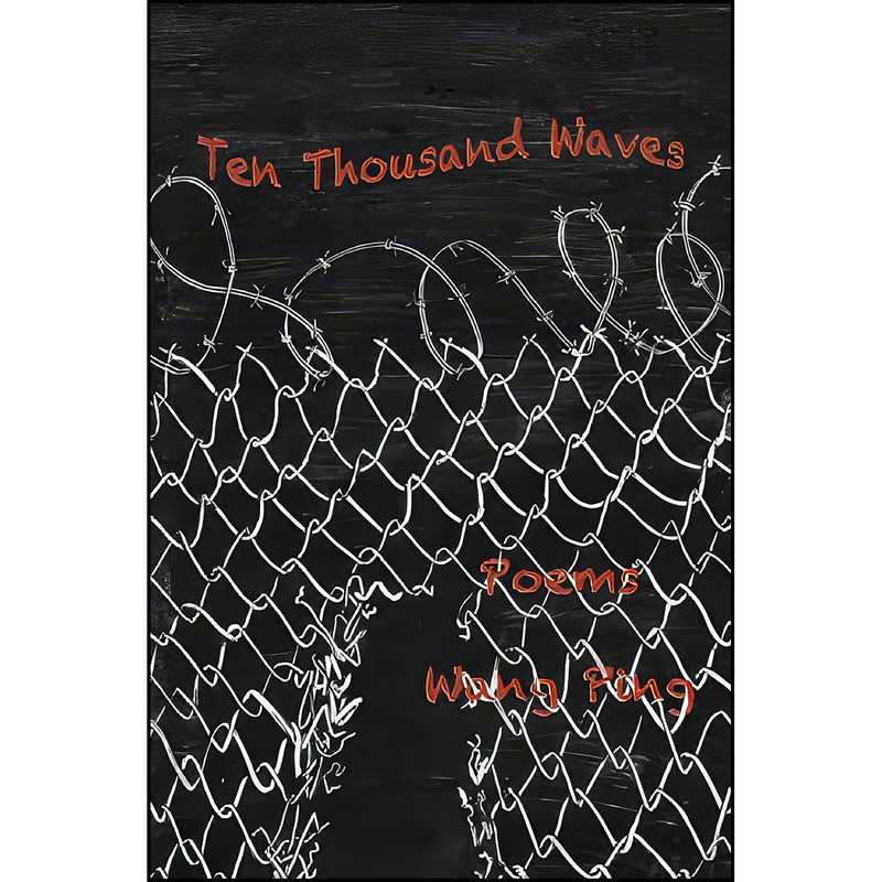 کتاب Ten Thousand Waves اثر Ping Wang انتشارات Wings Press