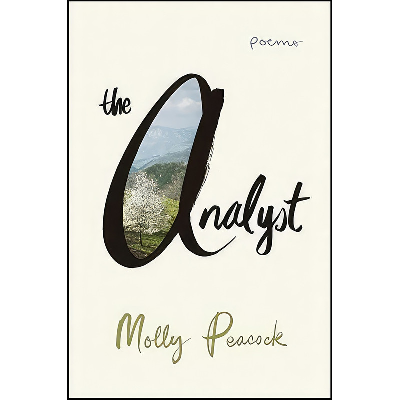 کتاب The Analyst اثر Molly Peacock انتشارات W. W. Norton And Company