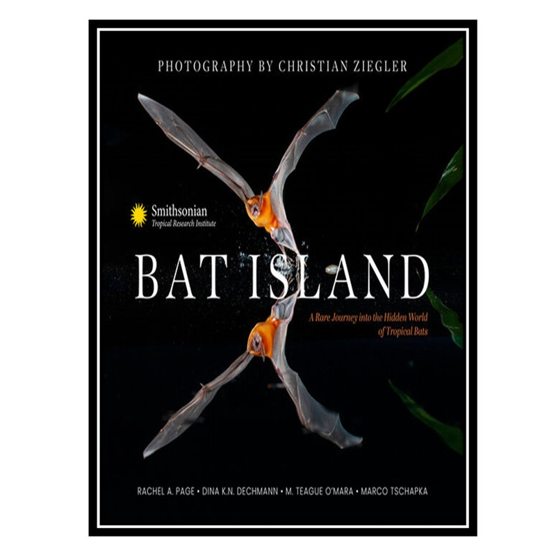 کتاب Bat Island اثر جمعی از نویسندگان انتشارات مؤلفین طلایی
