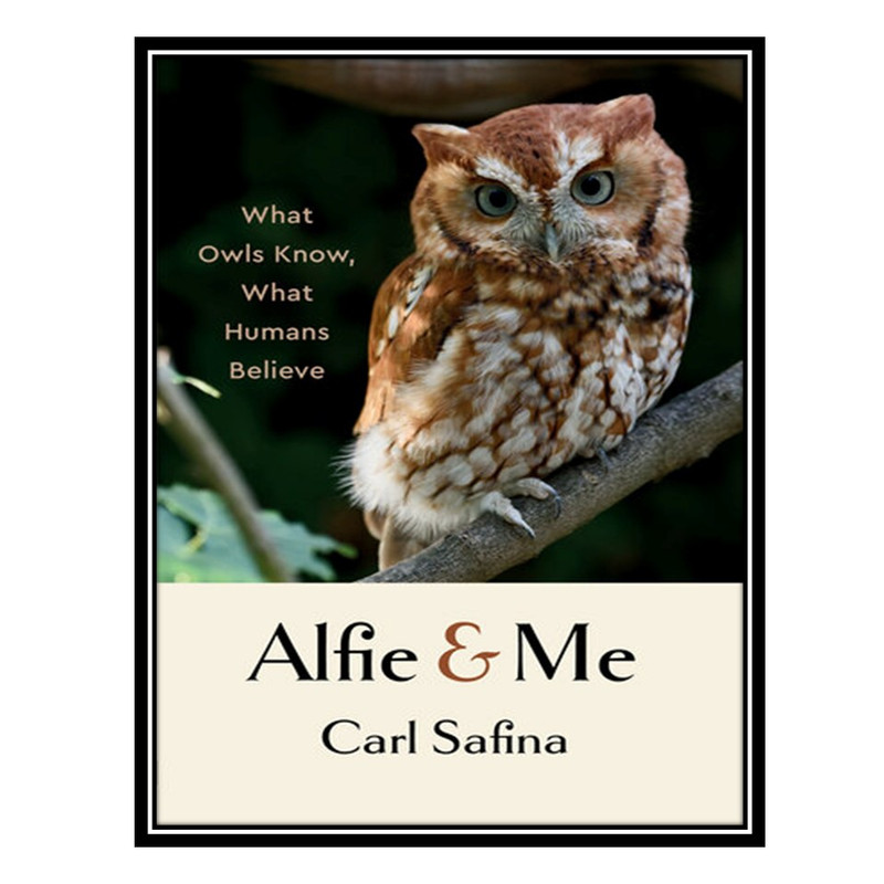 کتاب Alfie and Me : What Owls Know, What Humans Believe اثر Carl Safina انتشارات مؤلفین طلایی