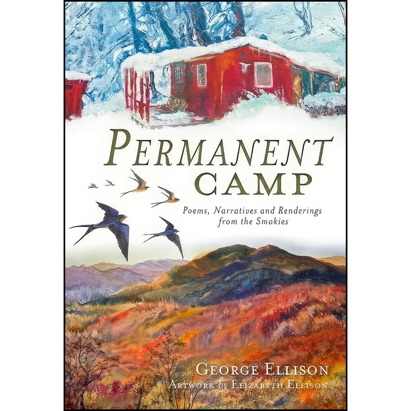 کتاب Permanent Camp اثر جمعي از نويسندگان انتشارات The History Press