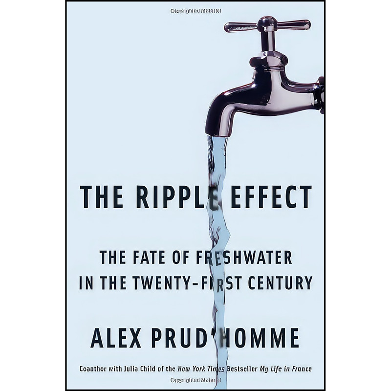 کتاب The Ripple Effect اثر جمعي از نويسندگان انتشارات Scribner