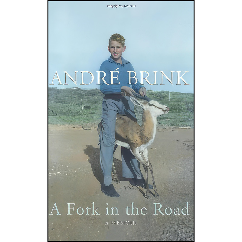 کتاب A Fork in the Road اثر جمعي از نويسندگان انتشارات Harvill Secker