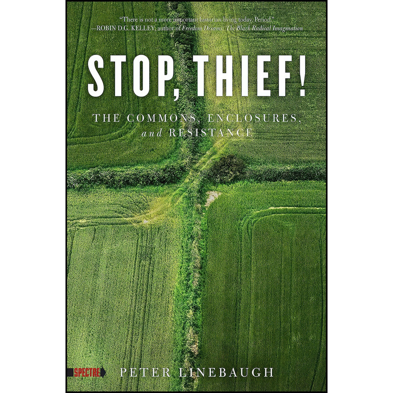 کتاب Stop, Thief! اثر Peter Linebaugh انتشارات PM Press