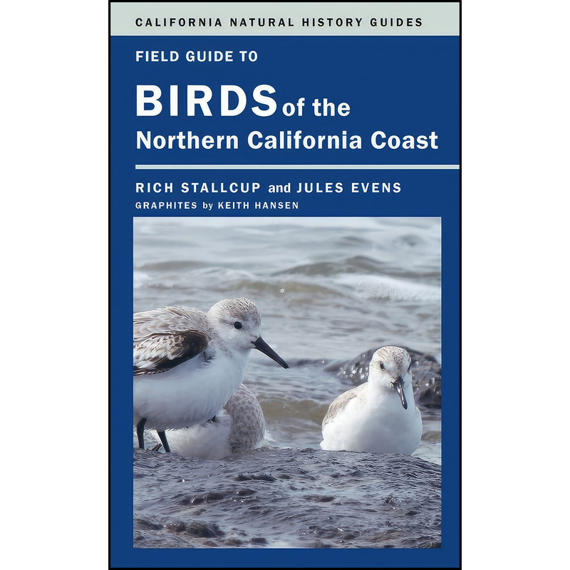 کتاب Field Guide to Birds of the Northern California Coast  اثر جمعي از نويسندگان انتشارات University of California Press