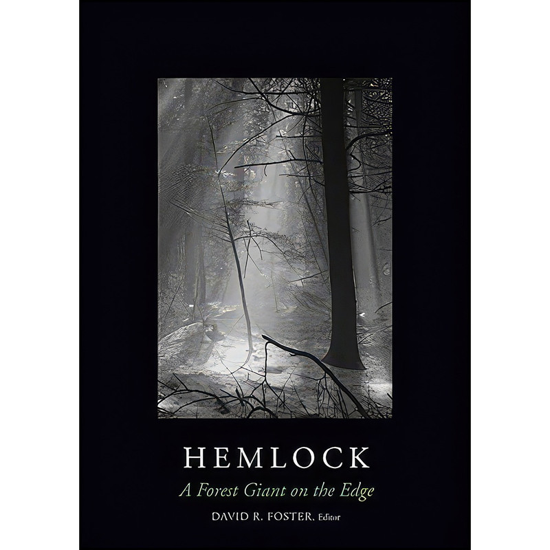 کتاب Hemlock اثر جمعي از نويسندگان انتشارات Yale University Press