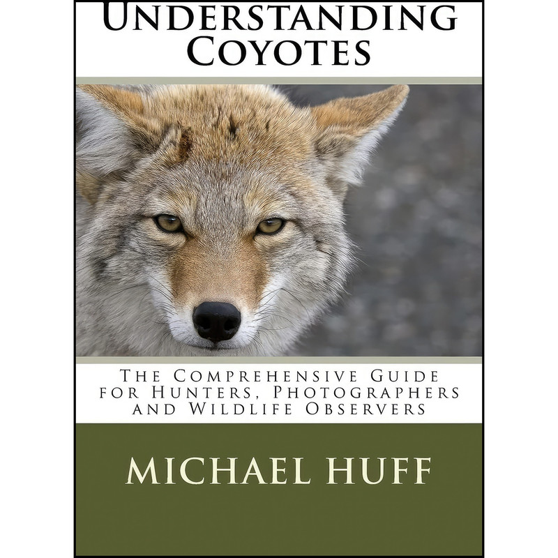 کتاب Understanding Coyotes اثر Michael Huff انتشارات تازه ها