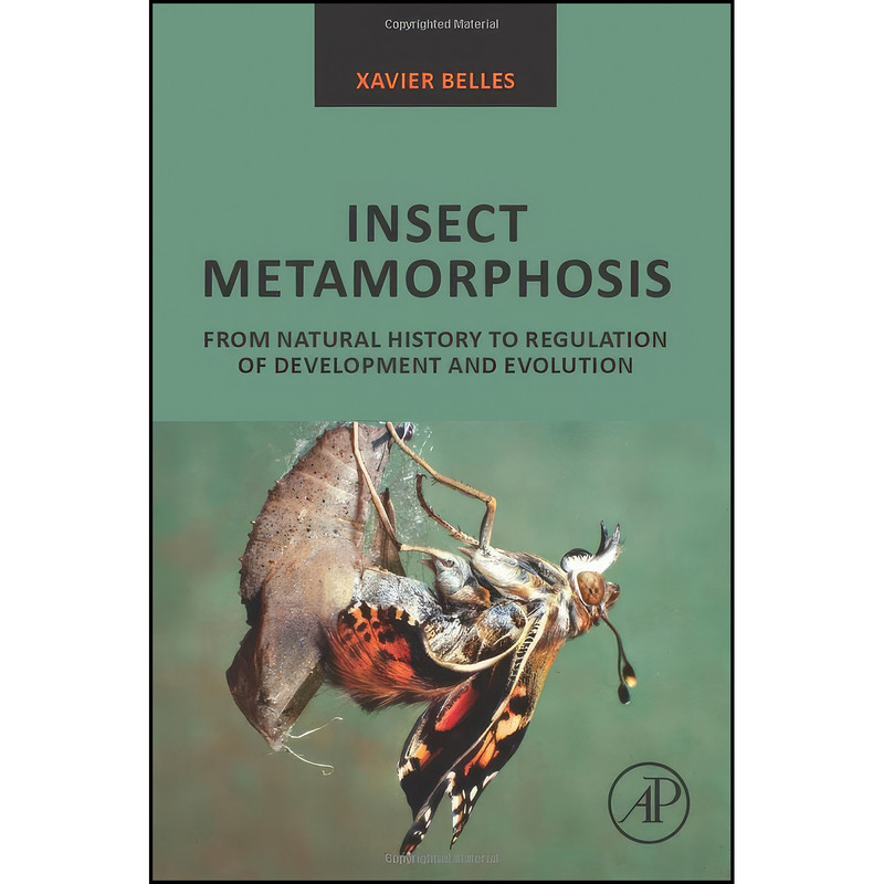 کتاب Insect Metamorphosis اثر Xavier Belles انتشارات Academic Press