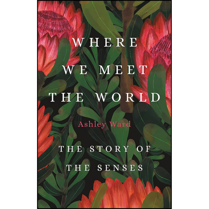 کتاب Where We Meet the World اثر Ashley Ward انتشارات Basic Books