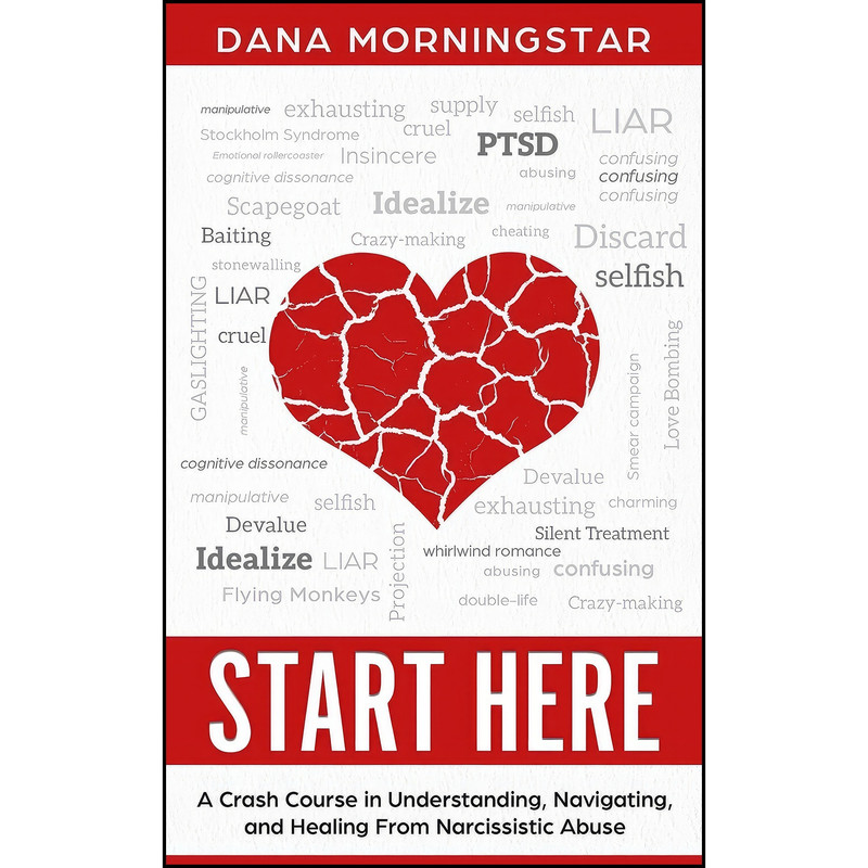 کتاب Start Here اثر Dana Morningstar انتشارات تازه ها