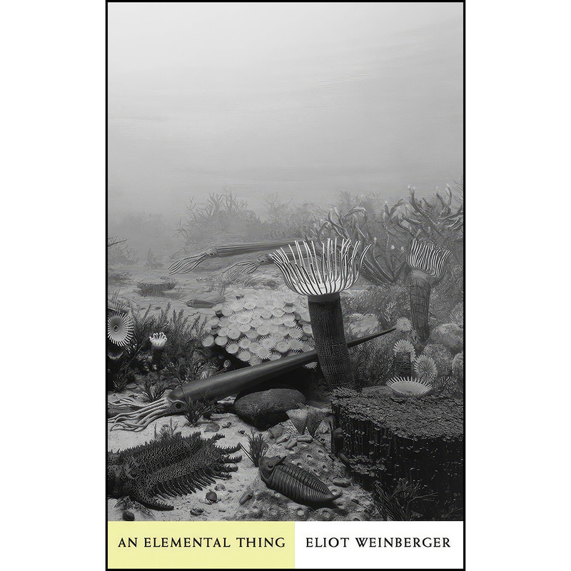 کتاب An Elemental Thing اثر Eliot Weinberger انتشارات New Directions