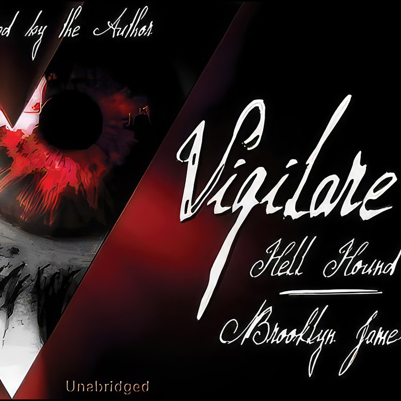 کتاب Vigilare اثر Brooklyn James انتشارات Cherry Hill Publishing