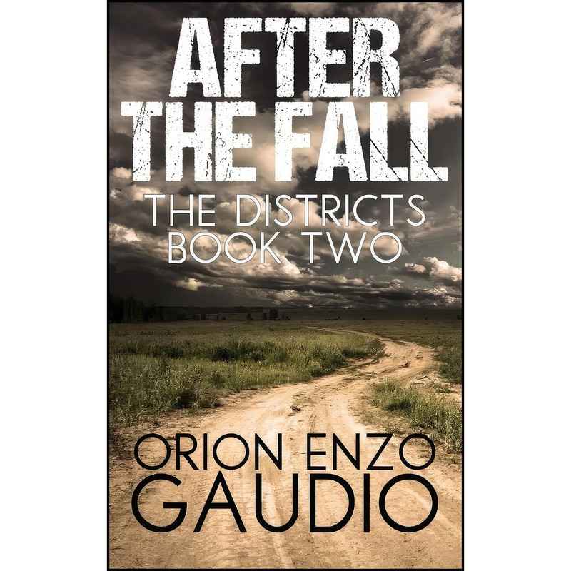 کتاب After the Fall  اثر Orion Enzo Gaudio انتشارات تازه ها