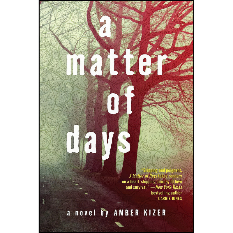 کتاب A Matter of Days اثر Amber Kizer انتشارات Ember