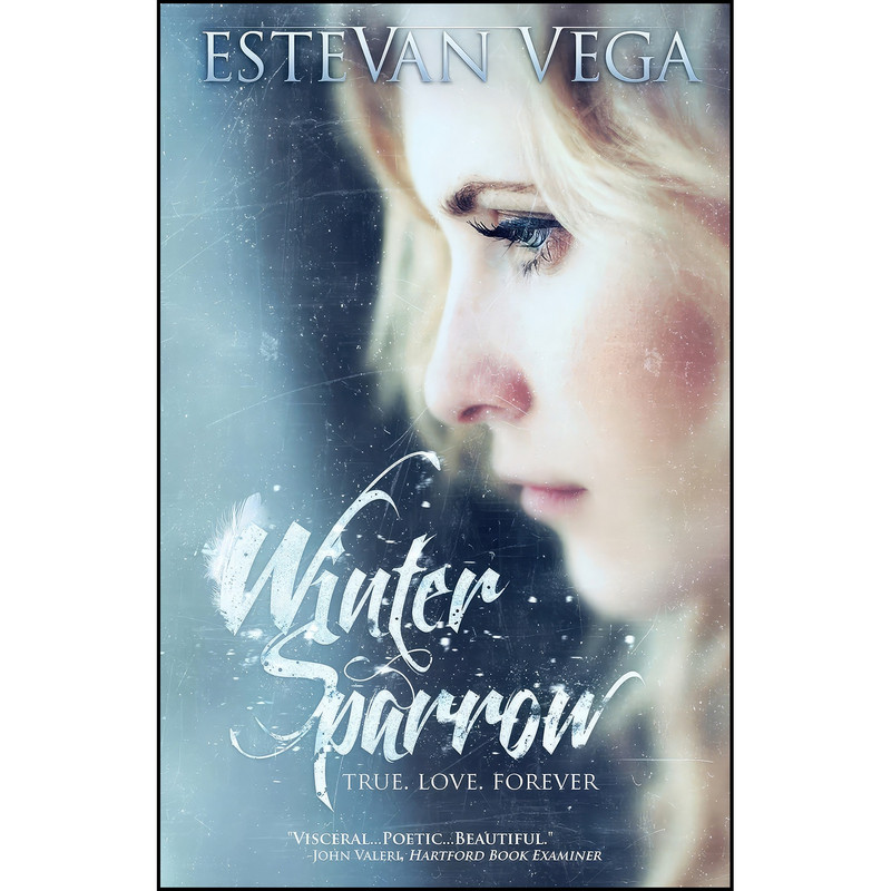 کتاب Winter Sparrow اثر Estevan Vega انتشارات تازه ها