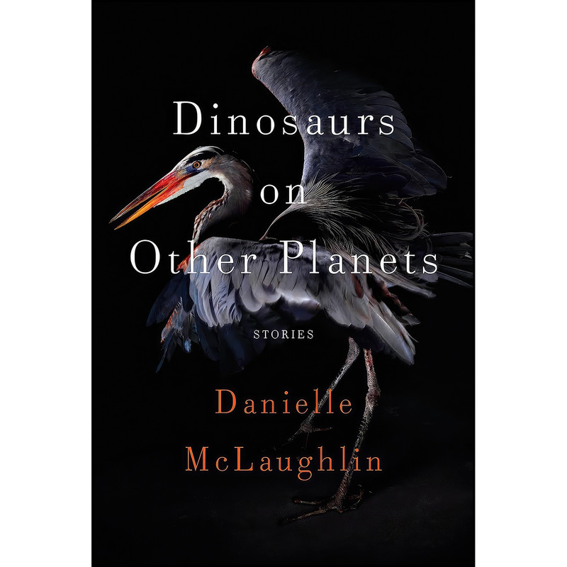 کتاب Dinosaurs on Other Planets اثر Danielle McLaughlin انتشارات Random House
