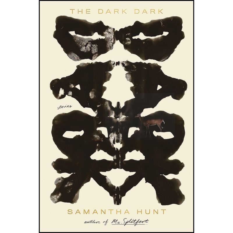 کتاب The Dark Dark اثر Samantha Hunt انتشارات FSG Originals