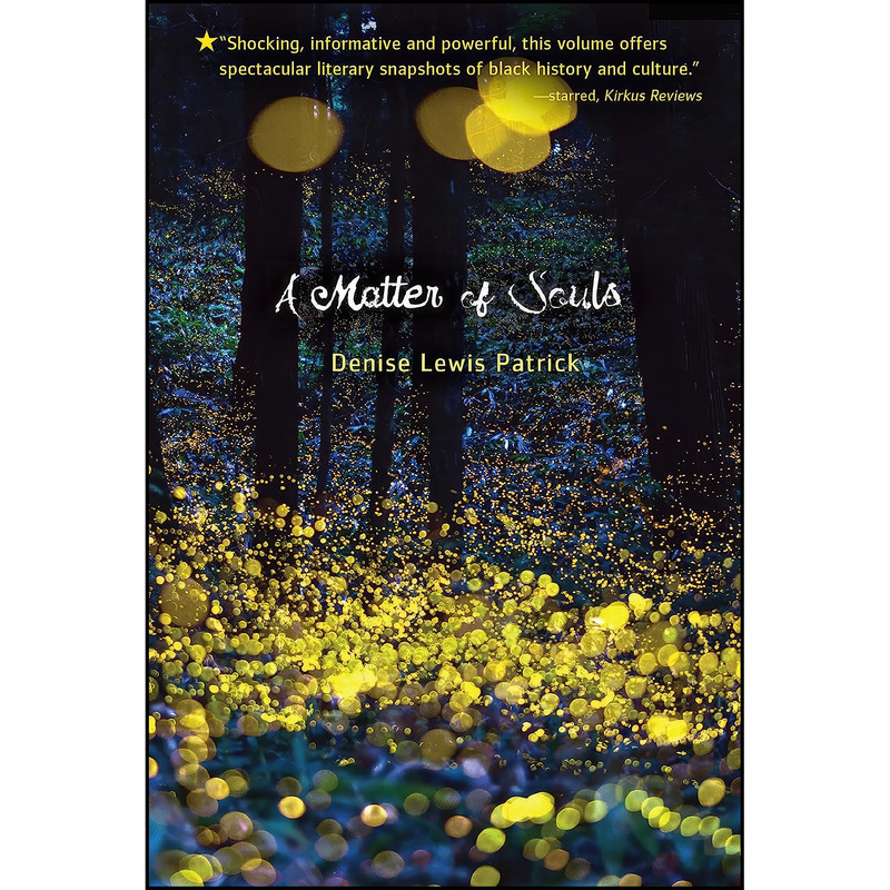 کتاب A Matter of Souls اثر Denise Lewis Patrick انتشارات Carolrhoda Lab
