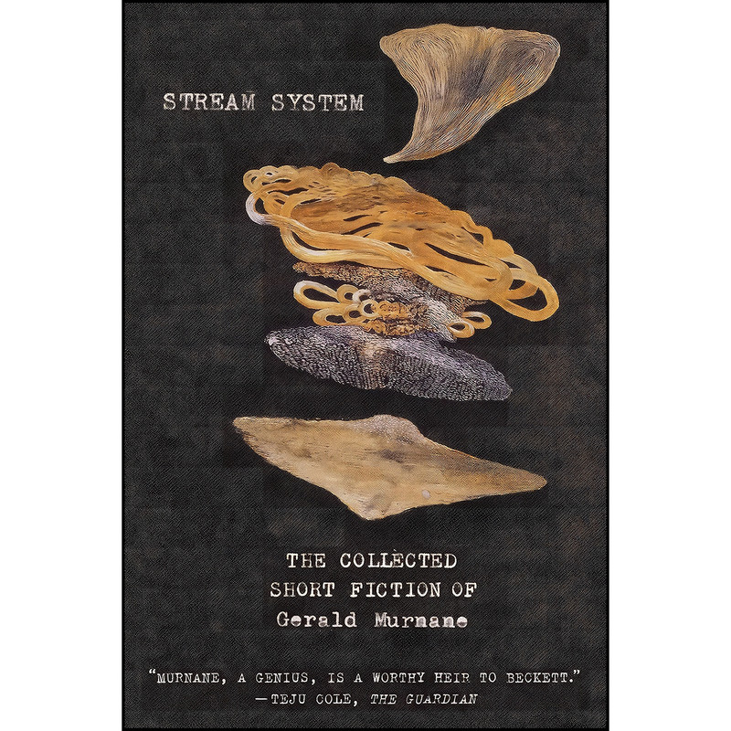 کتاب Stream System اثر Gerald Murnane انتشارات Farrar, Straus and Giroux