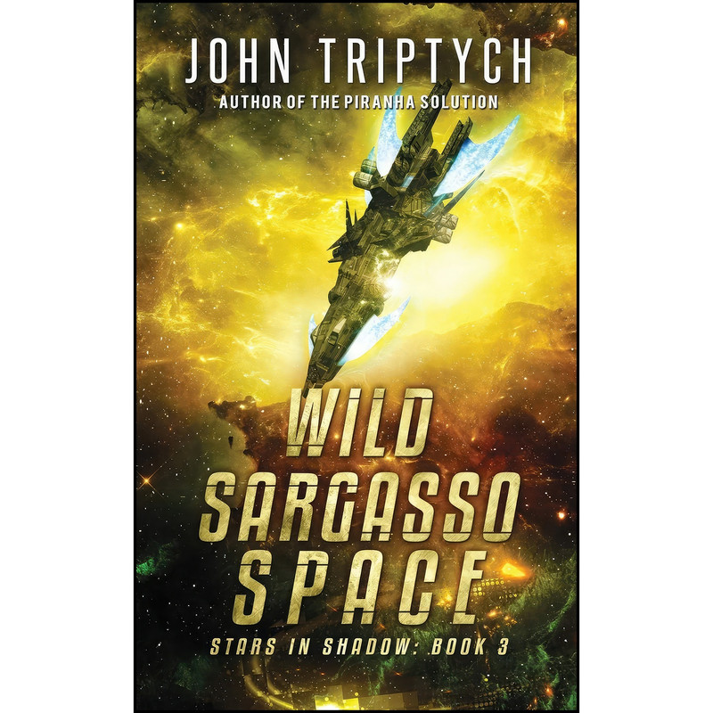 کتاب Wild Sargasso Space اثر John Triptych انتشارات تازه ها