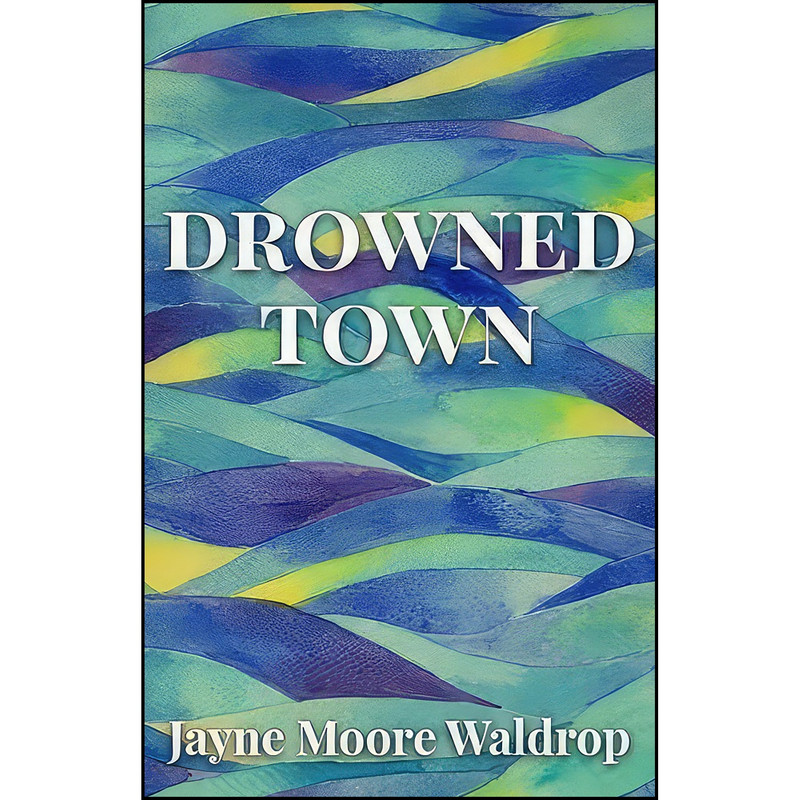 کتاب Drowned Town اثر Jayne Moore Waldrop انتشارات تازه ها
