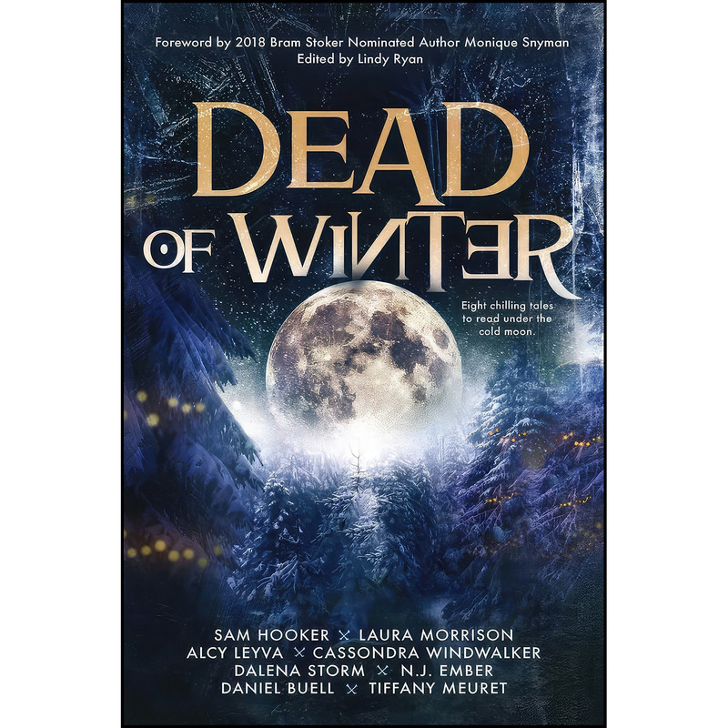 کتاب Dead of Winter اثر جمعي از نويسندگان انتشارات Black Spot Books