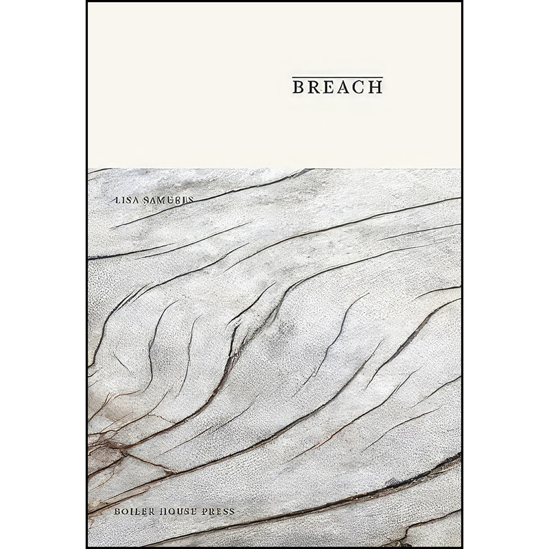 کتاب Breach اثر Eliot Peper انتشارات تازه ها