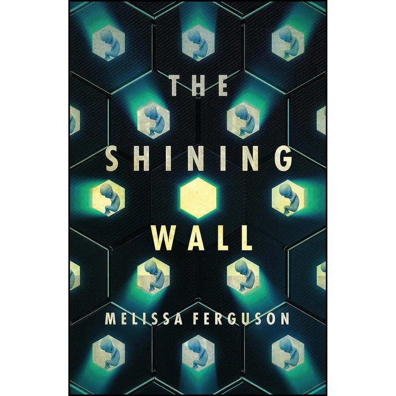 کتاب The Shining Wall اثر Melissa Ferguson انتشارات Transit Lounge
