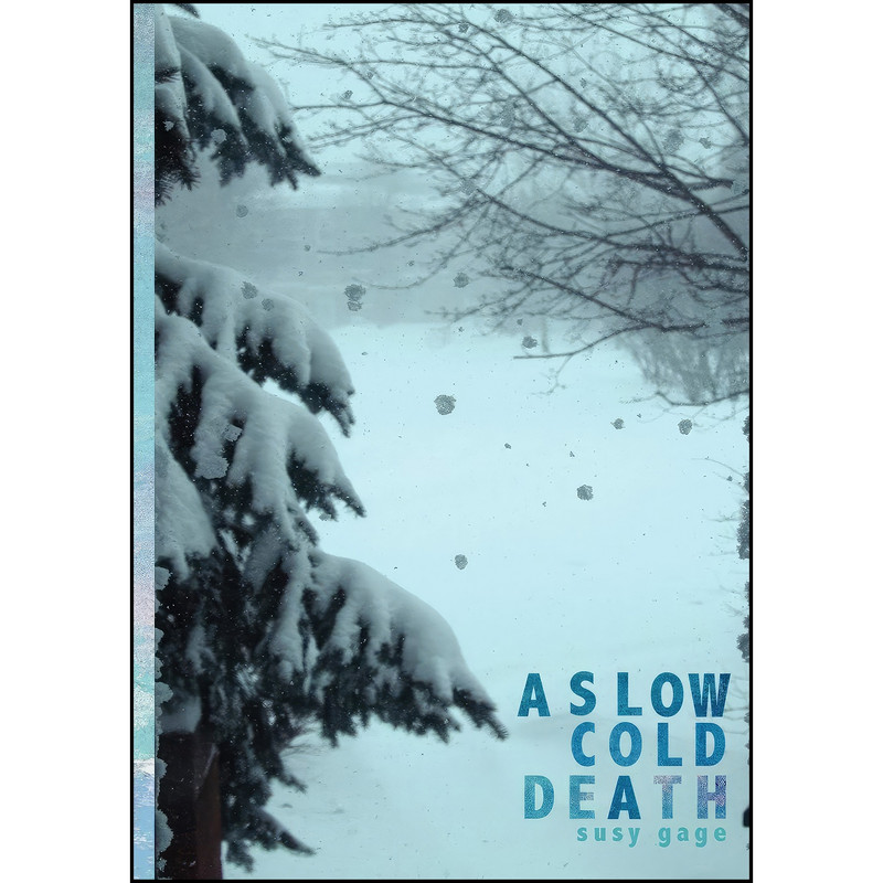 کتاب A Slow Cold Death اثر Susy Gage انتشارات Bitingduck Press