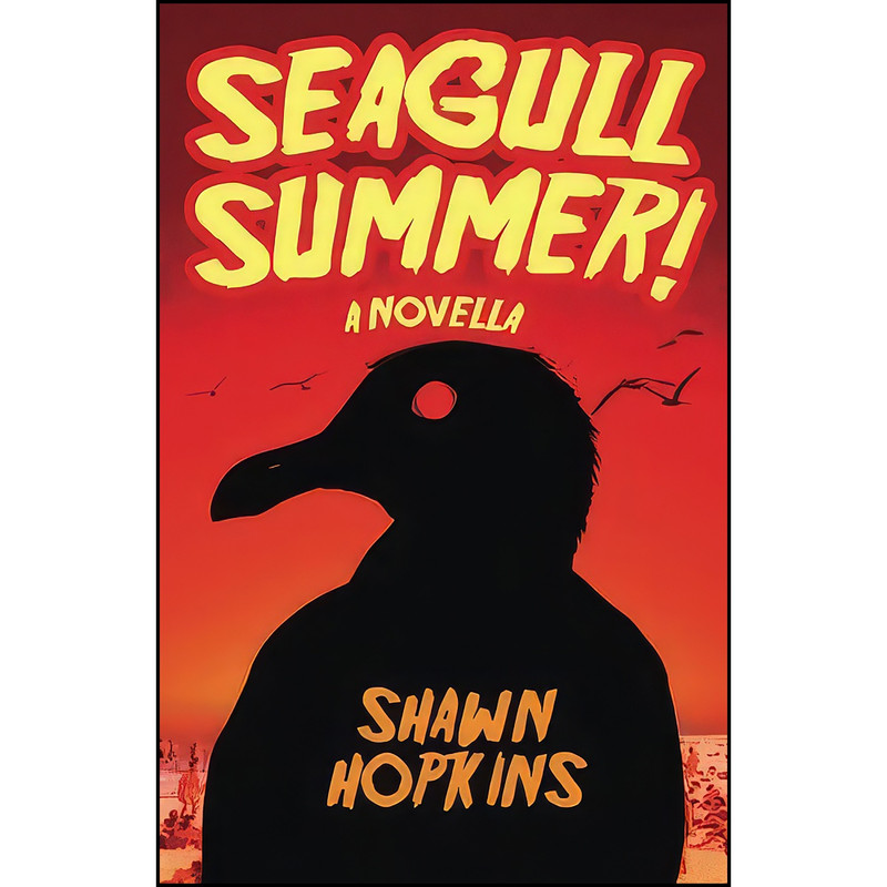 کتاب Seagull Summer اثر Shawn Hopkins انتشارات تازه ها